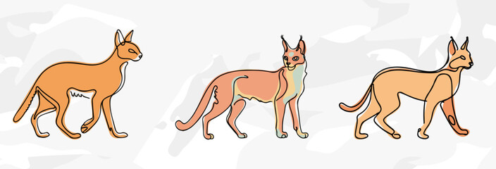 Fototapeta premium 3 Caracal Lineart-Illustrationen: Vektorgrafik-Bündel