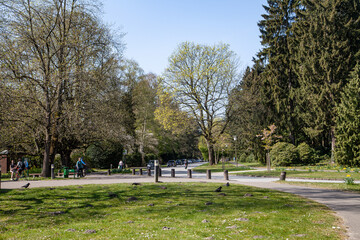 Road Crossing at Ohlsdorf Cemetery