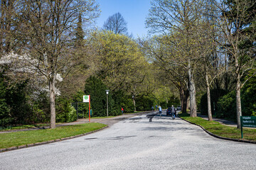 Main Road at Ohlsdorf Cemetery