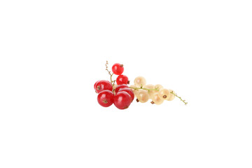 PNG, bunches of aphids isolated on white background.