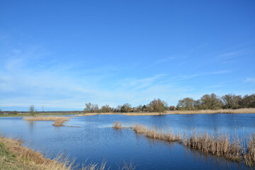 Seenlandschaft bei Pritzerbe im Havelland