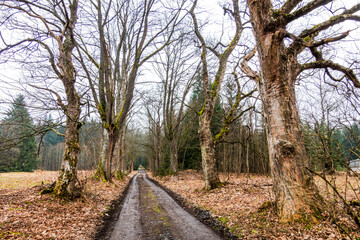 Novohradsk&eacute; hory, Czech Republic