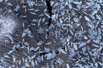 美しい雪の結晶