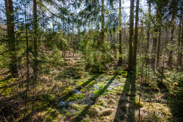 Novohradské hory, Czech Republic
