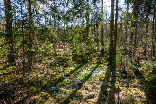 Novohradsk&eacute; hory, Czech Republic