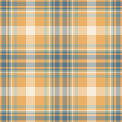 Plaid seamless pattern. Check fabric texture. Vector textile print.