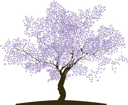 Ilustraci&oacute;n vectorial de &Aacute;rbol Jacaranda 