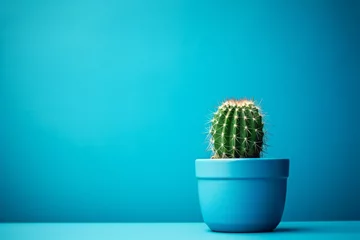 Fotobehang a cactus in a blue pot © Victor