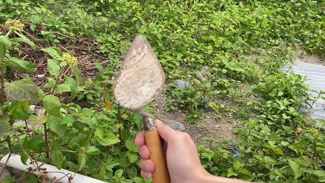 gardening with a small shovel tool