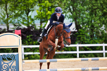 Horse show jumping horse with rider woman over the jump during a test in the show jumping...