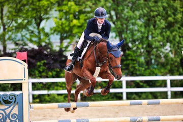 Horse show jumping horse with rider woman over the jump during a test in the show jumping...