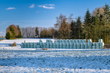 Paysage d'hiver. Prairie enneigée avec ballots de foin enrubannées
