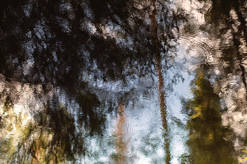 Reflection of silhouette trees on the water surface