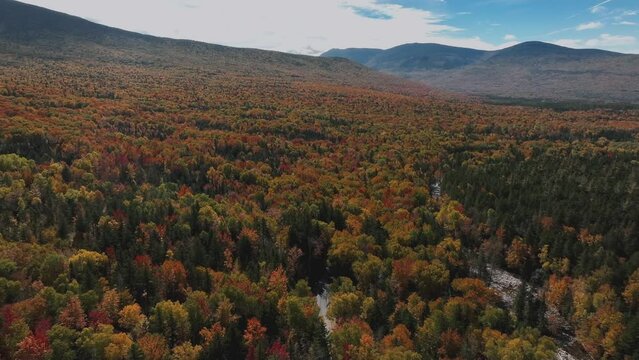 Impressive Fall Colors Over State Parks In Killington Mountains In Vermont, USA. Aerial Drone Shot