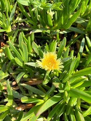 Magic of Nature: Inspiring Views and Amazing Phenomena