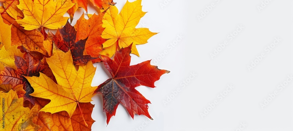 Poster beautiful white abstract autumn minimalistic background with soft and elegant design elements