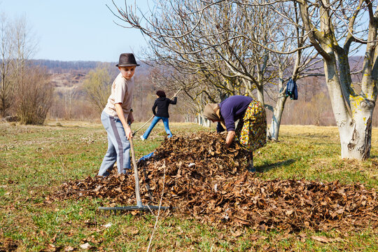 Family spring cleaning with rake in an orchard