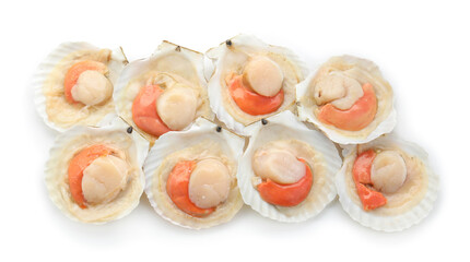 Many fresh raw scallops in shells isolated on white, top view