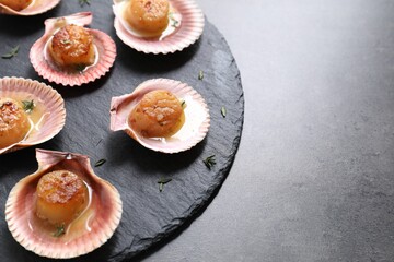 Delicious fried scallops in shells on grey table, closeup. Space for text