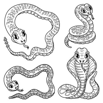 Set of snakes sketch. Hand drawn line art illustration.