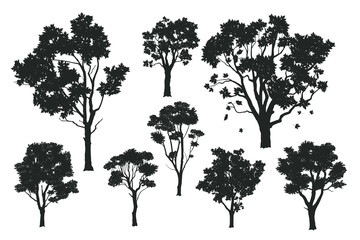 Isolated tree silhouettes. Black drawing of forest plants. Park scene elements. Graphic arts for natural landscape background. Garden design elements