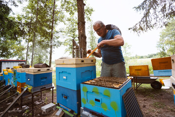 Fantastic beehive producing honey, nature, man and bee, Poland