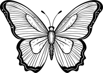 Vintage Sketch Isolated Vector Butterfly Animal in hand-draw style
