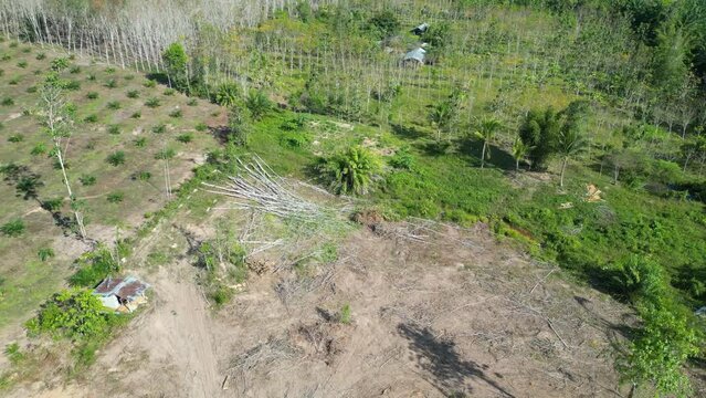 Deforested land in southern Thailand