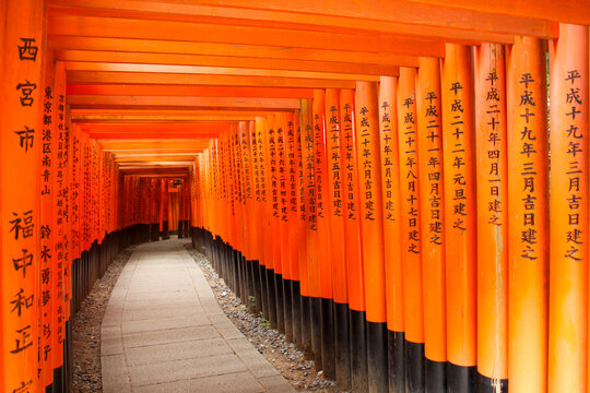 Vivid Orange Torii Gates Line a Pathway at Fushimi Inari Shrine in Kyoto, Japan