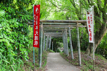 Fototapeta na wymiar Traditional Bamboo Torii Gate at the Entrance of a Lush Japanese Pathway in Daylight