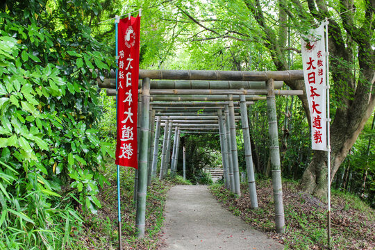 Traditional Bamboo Torii Gate at the Entrance of a Lush Japanese Pathway in Daylight