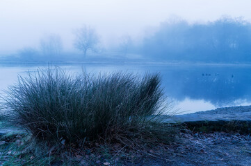 Obraz premium misty morning on the lake