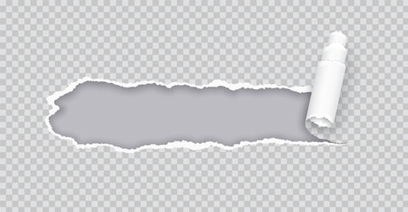 Torn paper rolled strip over grey realistic vector illustration. Teared page. Destroyed document sheet 3d object on transparent background