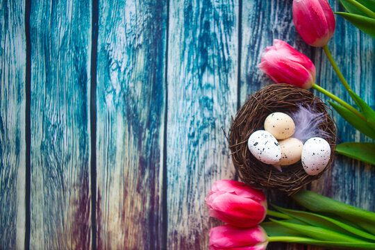 Easter composition - tulips and nest with eggs on wooden background, top view, copy space