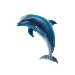 A dolphin leaping out of water  isolated on a white background