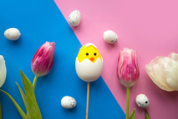 Toy chicken, quail eggs and tulips on bright background. Easter concept