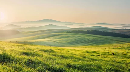Crédence de cuisine en verre imprimé Orange Sunny Meadow Horizon: A scenic landscape featuring a vibrant sunset over a lush green field with majestic mountains in the background