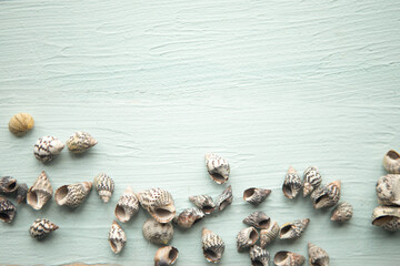 Fototapeta na wymiar Seashells on blue wooden background, copy space for the text. Summer vacation concept