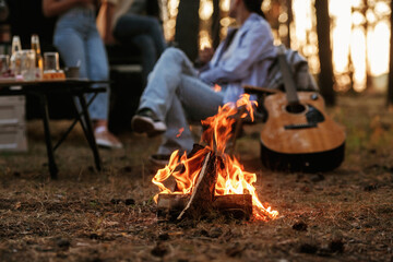 By the campfire. Group of friends are having fun together in the forest