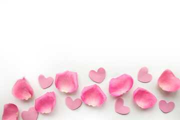 Pink rose petals on white background. Valentine's Day concept