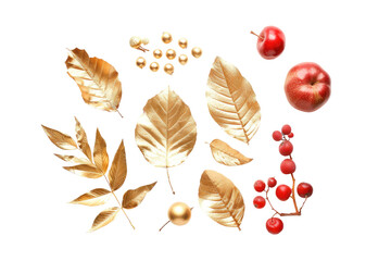 Leaf and Fruit Elements in Decor Isolated On Transparent Background