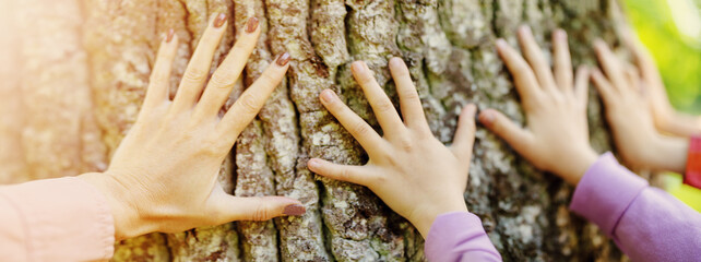 Children's and mother's hands touching tree trunk in the natural park.