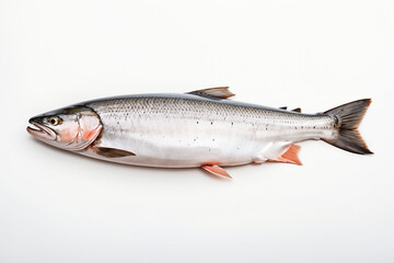 salmon isolated on white background. ai generative
