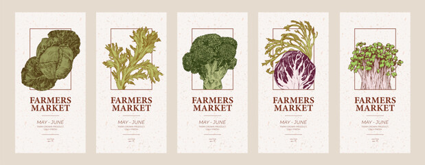 Farmers market flyers templates. Cabbage,  lettuce and microgreens engraved illustrations - 752176687