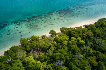 Naklejka na ściany i meble Mangrove Oasis from a Bird's Eye View