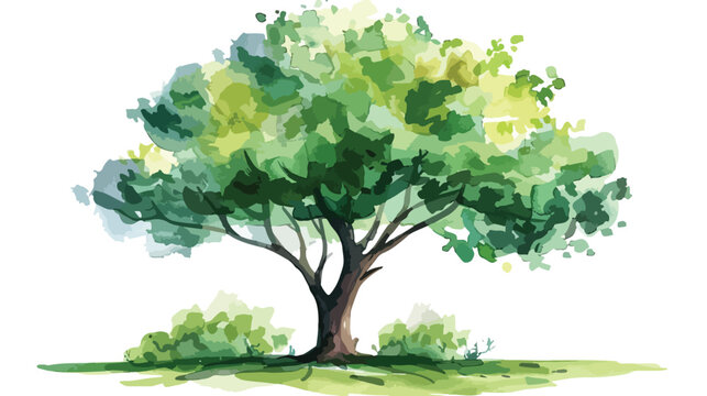 Hand drawn watercolor tree illustration Flat vector