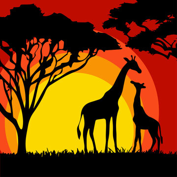 Landscape with silhouettes of giraffes in Africa. Vector illustration