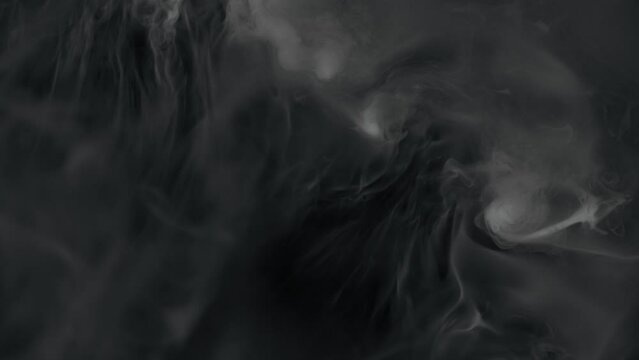 Super Slow Motion Shot of Real Smoke Slowly Swirling on Black Background at 1000fps.