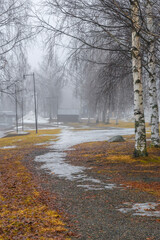 Foggy morning in Ludvika municipality, Sweden.