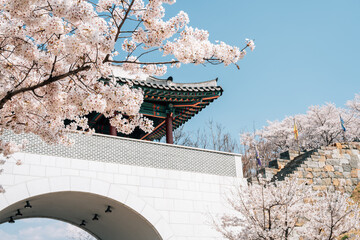 Miryang Eupseong Fortress gate with cherry blossoms in Miryang, Korea